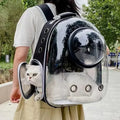 Sac à dos de transport bulle transparente pour chat