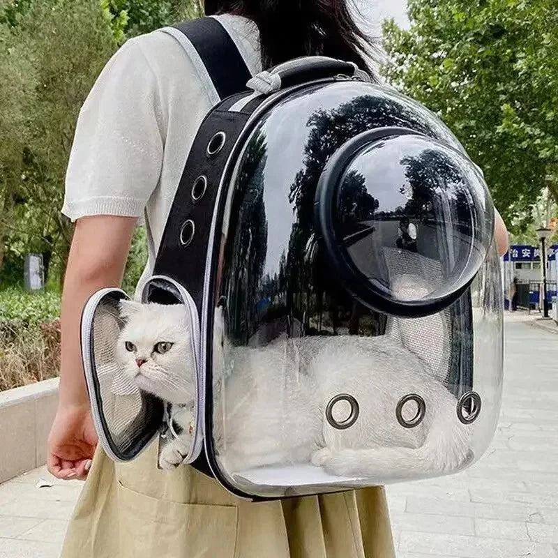 Sac à dos de transport bulle transparente pour chat