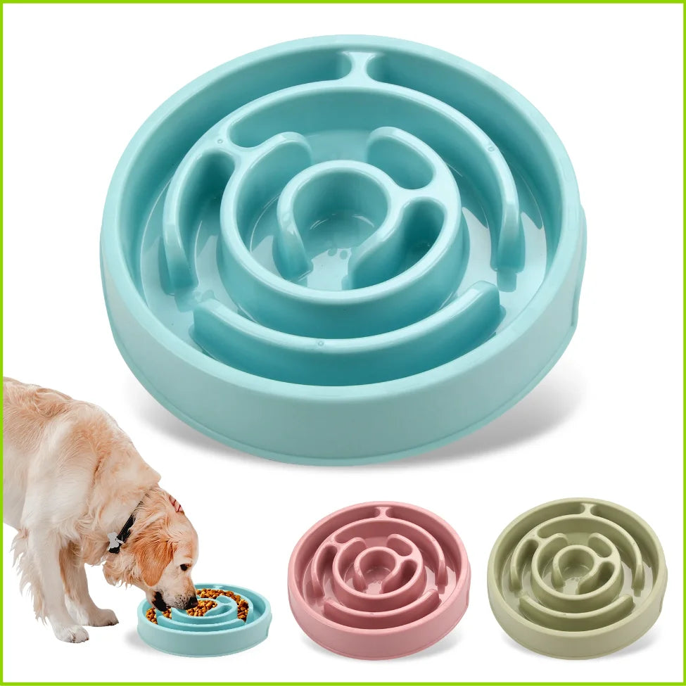Gamelle anti-glouton pour chien alimentation lente